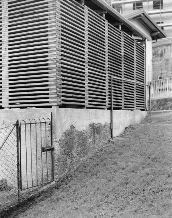 andrea milesi, malsagomada