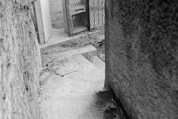 pasquini tranfa, ruta di camogli