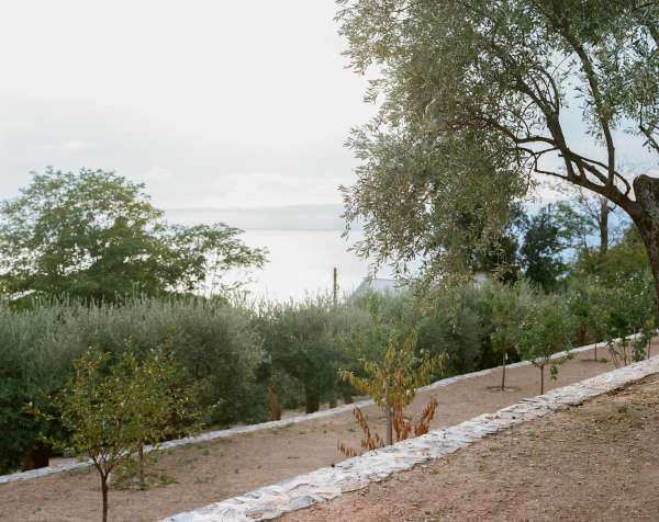 pasquini tranfa, ruta di camogli