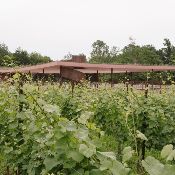studio pizzi, ceresé winery